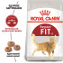 Сухий корм для домашніх і вуличних котів ROYAL CANIN FIT 2 кг